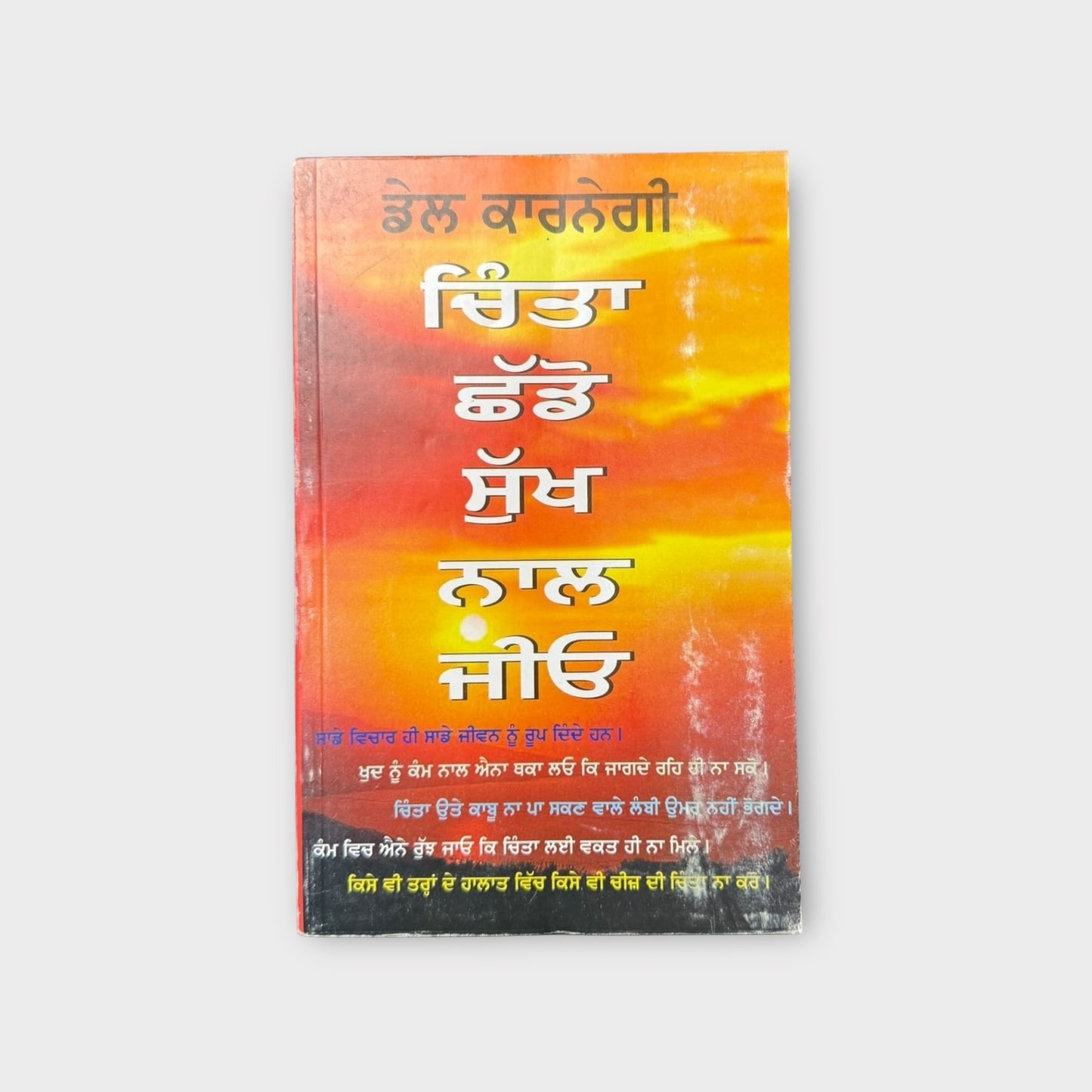 Chinta Shado Sukh Nal Jiyo