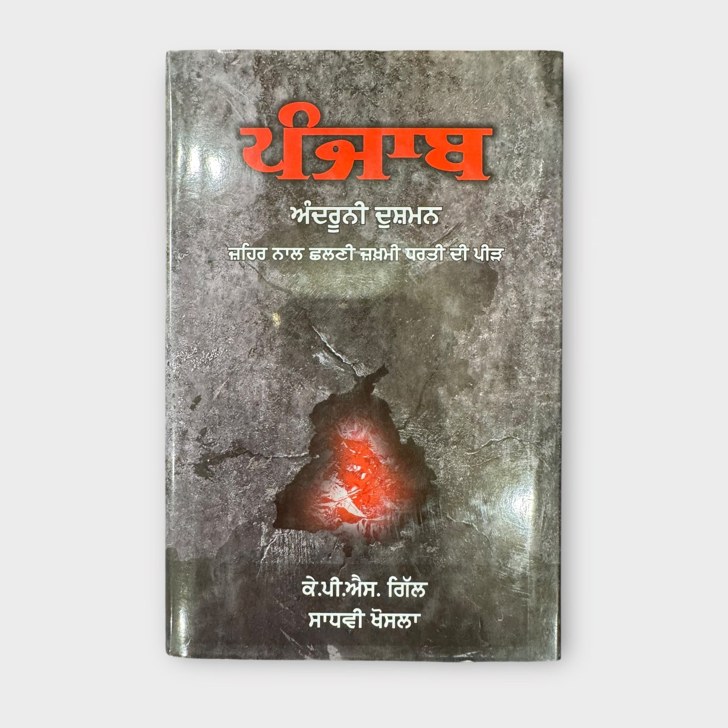 Punjab De Andhroni Dushman