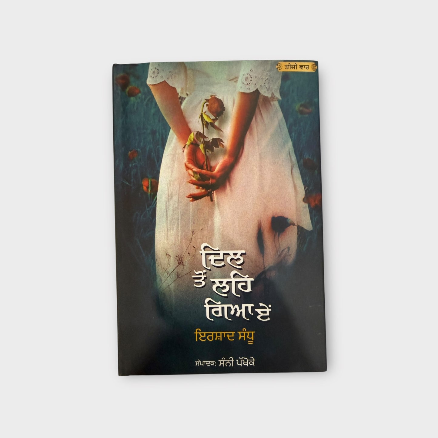 Dil Ton Hi Leh Gya Ae